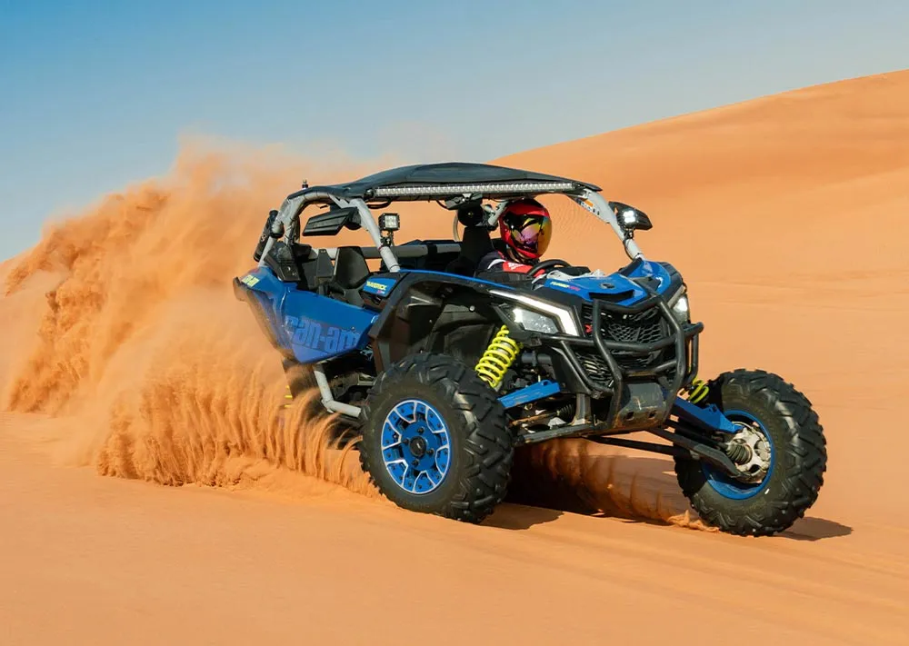 2-seater dune buggy
