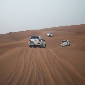 Private Car Morning Desert Safari Tour- 4 Hours